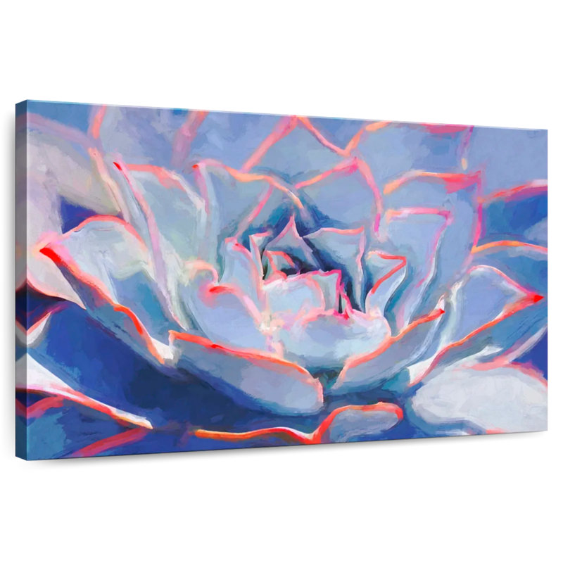 Harnek Succulent Beauty
