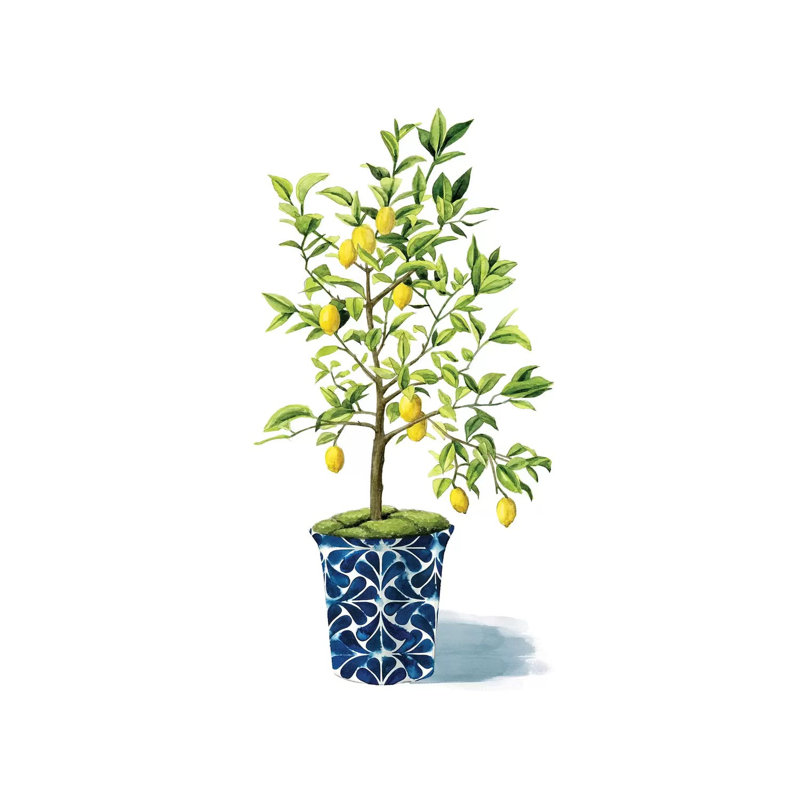 Fruit Tree II by Grace Popp - Wrapped Canvas Panoramic Painting, 101.6 cm H x 66.04 cm W x 1.91 cm D
