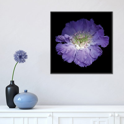 Reproduction de photo sur toile tendue