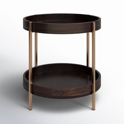 Inira 22" Mango End Table