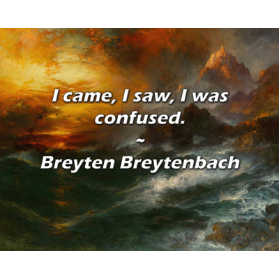 Breyten Breytenbach Quote: I came, I saw, I was confused.
