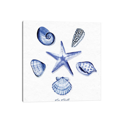 Shell Collection VI by Stephanie Ryan - Painting on Canvas