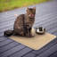 Napperon Cat