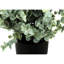 2 pièces 11 "plantes d'herbe d'eucalyptus, verdure décorative intérieure dans des pots noirs, plantes réglables hautes herbes artificielles, longue durée
