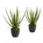 18'' Faux Aloe Succulent in Planter
