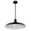 Luminaire suspendu en dome à 1 lumière-480590188