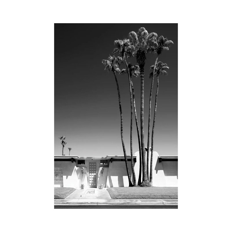 Black California Series - Palm Springs - Wrapped Canvas Print, 66.04 cm H x 45.72 cm W x 1.91 cm D