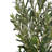 Ricky 71" Artificial Olive Tree With Pot & Adjustable Branches
