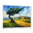 Floater Framed Print selected