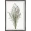 Wild Herbs 1 Piece Single Picture Frame Painting-1277149993