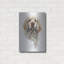 «Clumber Spaniel» par Barbara Keith-1254066884