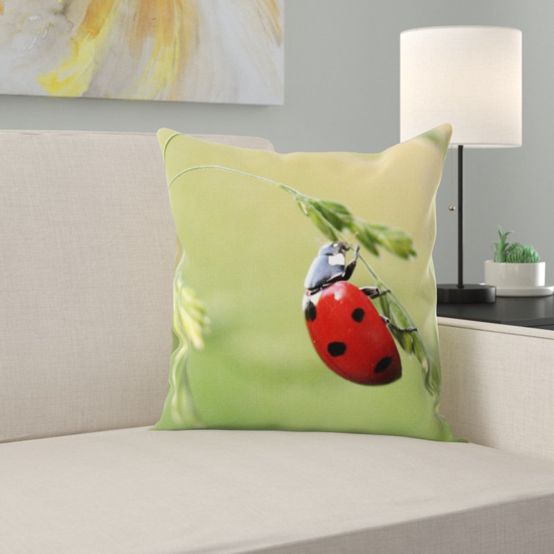 Coussin coccinelle