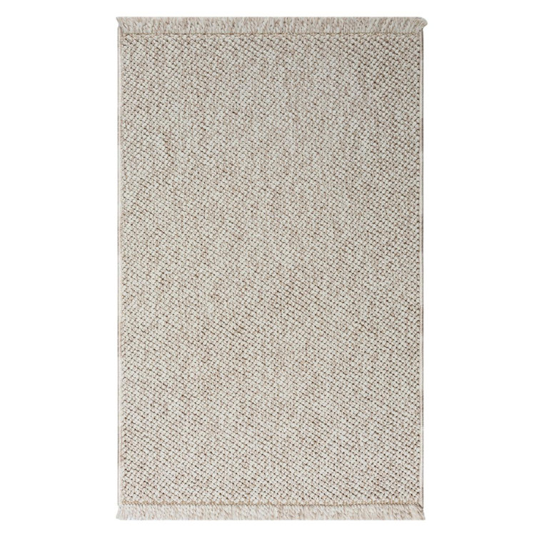 Textured Fringed Area Rug