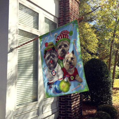 Drapeau de maison Hvidovre Sheltie Halloween en polyester à 2 faces 3 x 2 pi