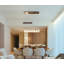 Deva 24 Light Glass Dimmable Pendant