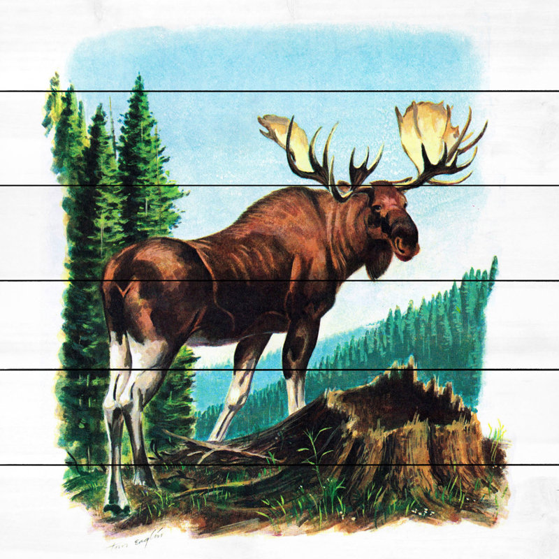 «Twig Eater», reproduction encadrée, H 24 po x l 24 po