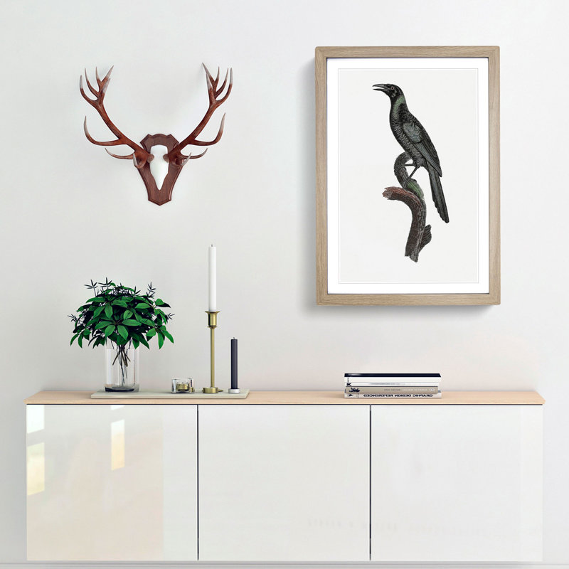 Manucode Bird of Paradise by Jacques Barraband - Picture Frame Painting Print, 36cm H x 27cm W x 2cm D, Oak Framed