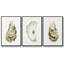 «Neutral Oyster Study I», ensemble de 3 toiles encadrées-1804194985-1804194986