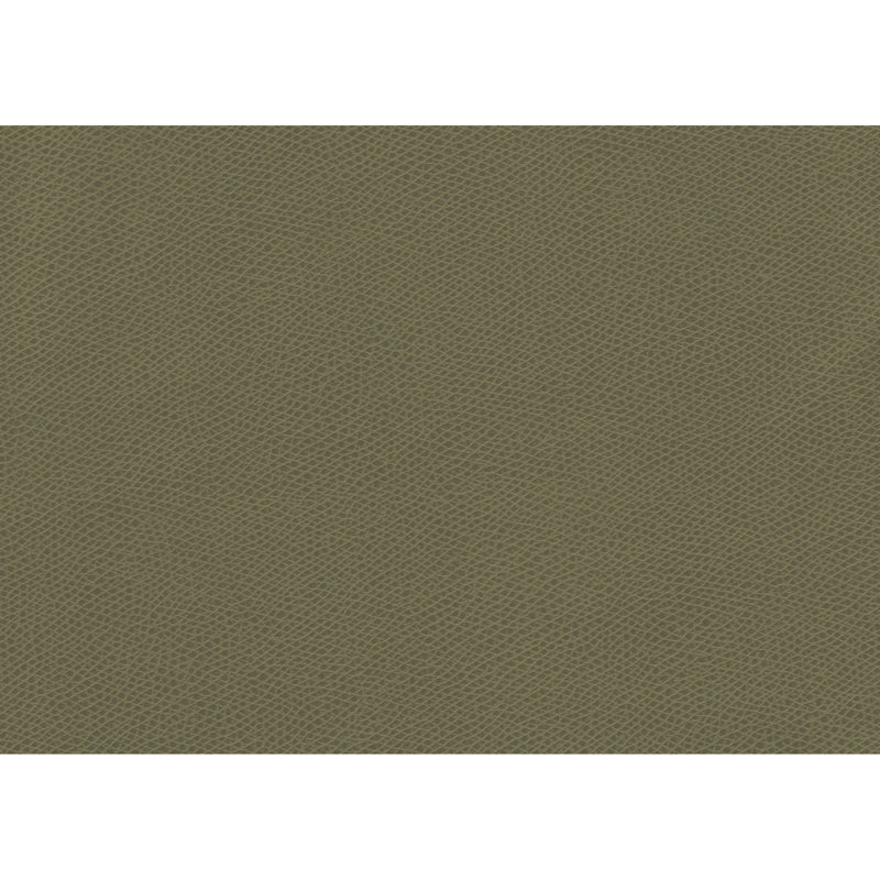 Ophidian Fabric, Sage
