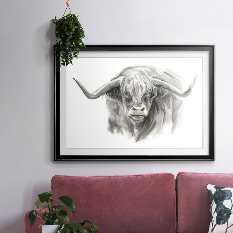 «Soft Focus Highland Cattin II», impression sur papier, Noir, H 15 po x l 21 po x P 1,5 po