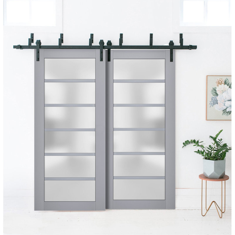 Portes de placard Veregio, 79,5 po x 17 po, Gris