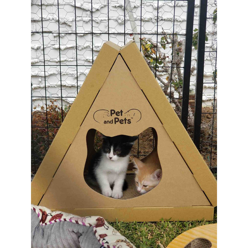 Eco-Friendly Cardboard Cat House with Scratch Boards