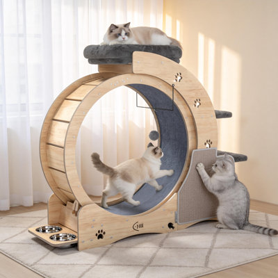 6-in-1 Cat Wheels for Indoor Cats,40 Inch Large Cat Treadmill , Cat Exercise Wheel with Cat Nest,  Cat Scratching Post, Climbing Frame & Feeding Bowls