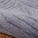 Rhames Ikat Indoor Rug