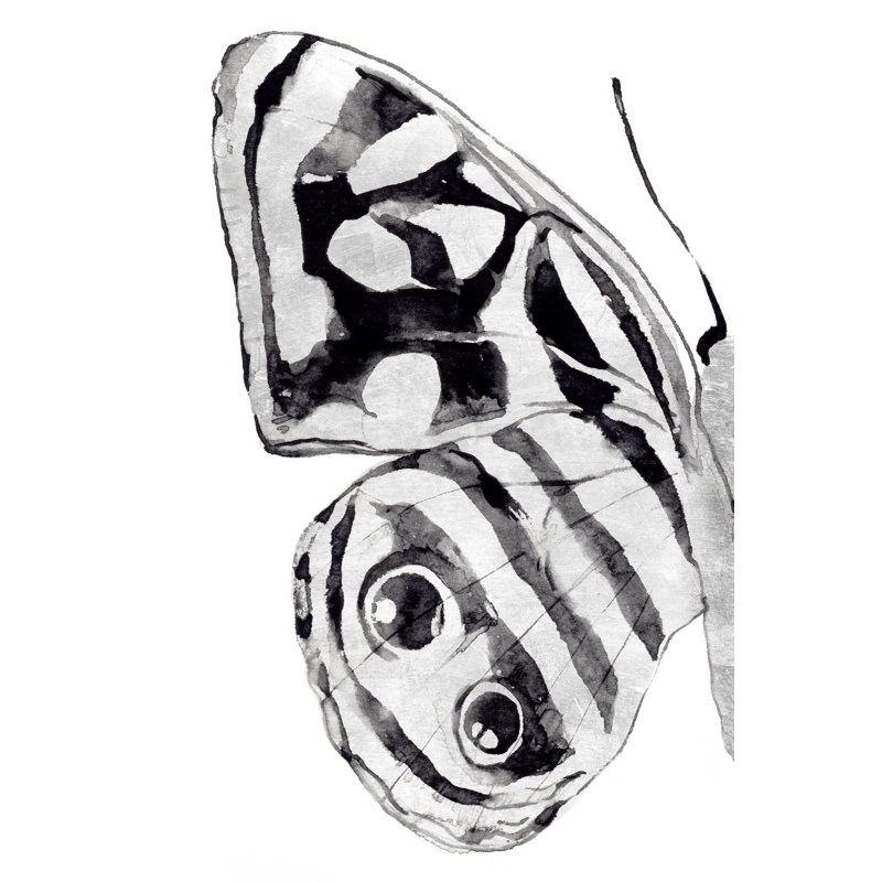 Monochrome Wings III - Wrapped Canvas Painting, 46cm H x 30cm W