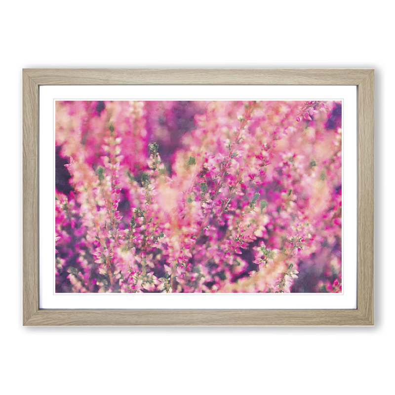 Pink Heather - Picture Frame Graphic Art, 36cm H x 48cm W x 2cm D, Oak Framed