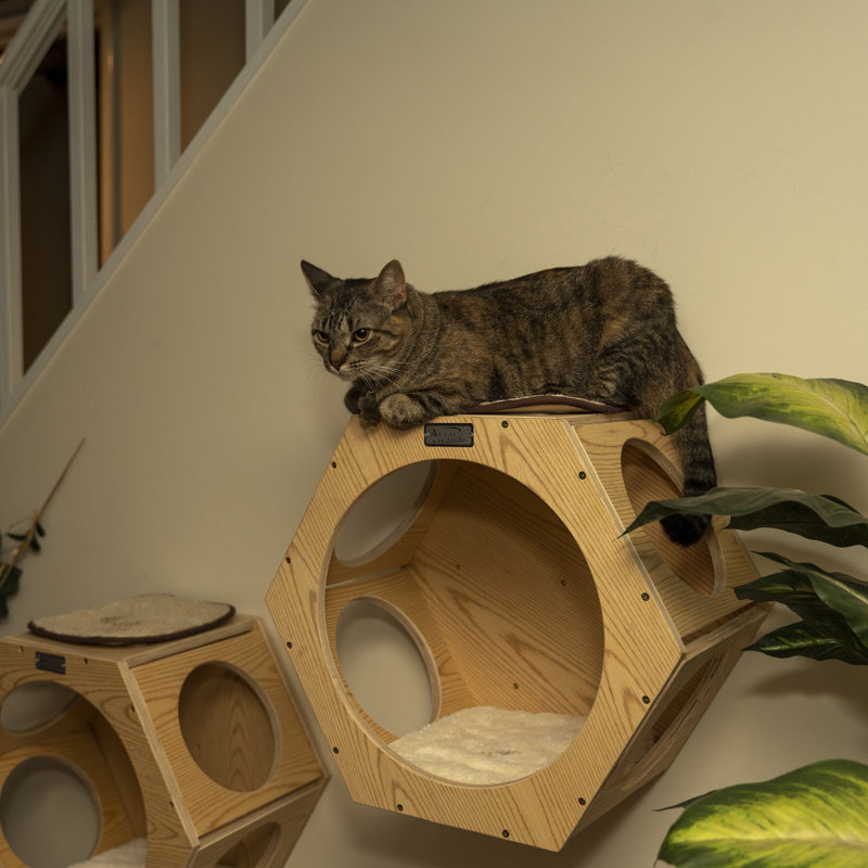 Natural Wood Hexagonal Wall-Mounted Cat Shelves Set