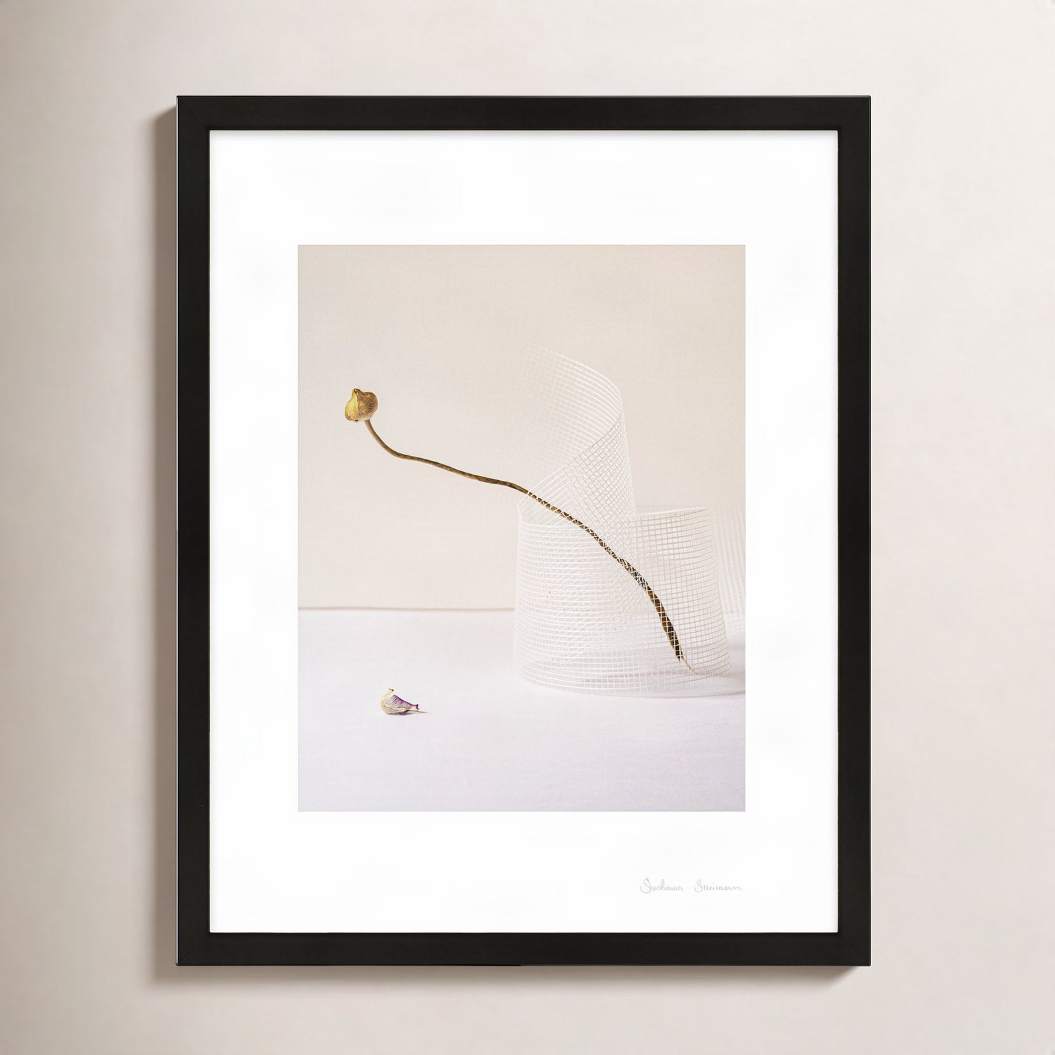 Lombard "Balance 2" Photo Print, 30" H x 24" W x 1.25" D, Black