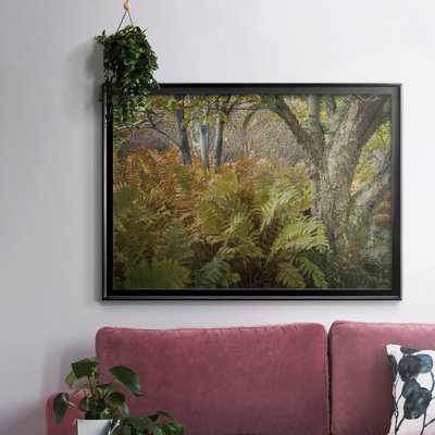 " Autumn Ferns "