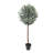 150cm Faux Olive Tree Tree in Planter