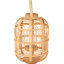 Lantern-106274566-106274567