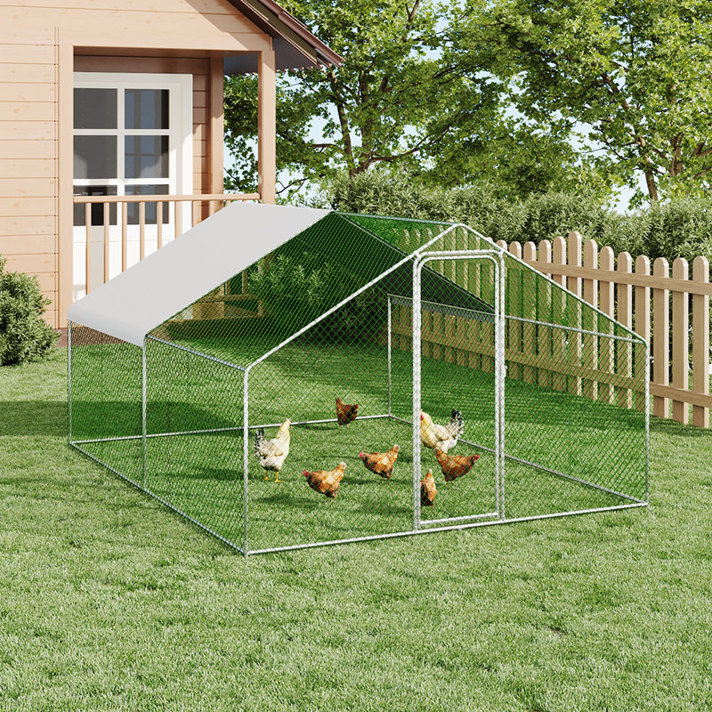 11.85m² Chicken Coop