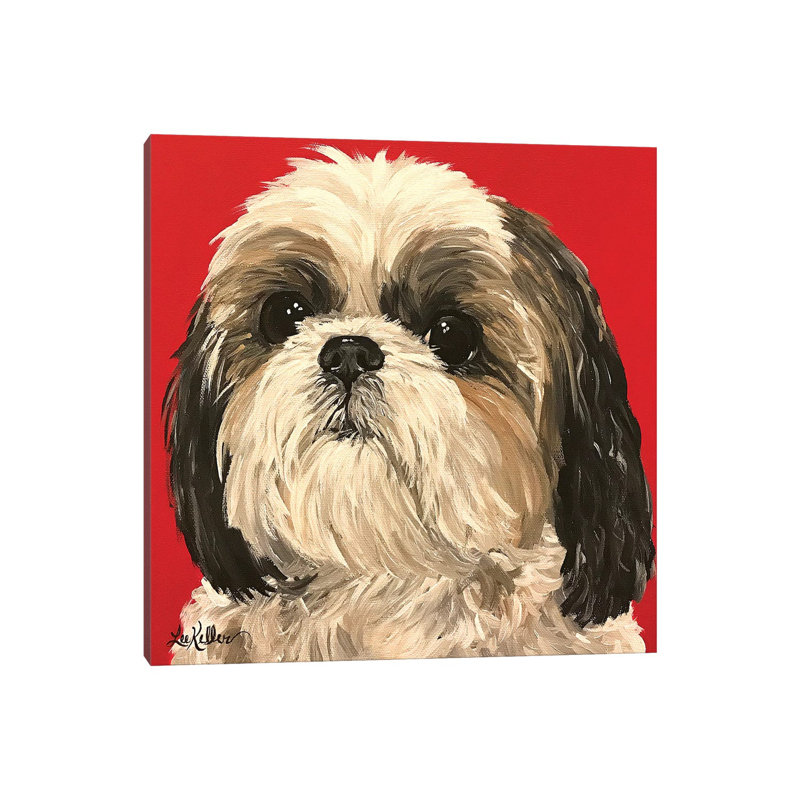«Shih Tzu On Red» - reproduction de photo, Toile tendue, H 12 po x l 12 po x P 0,75 po