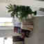 Photos des clients 2 de 2