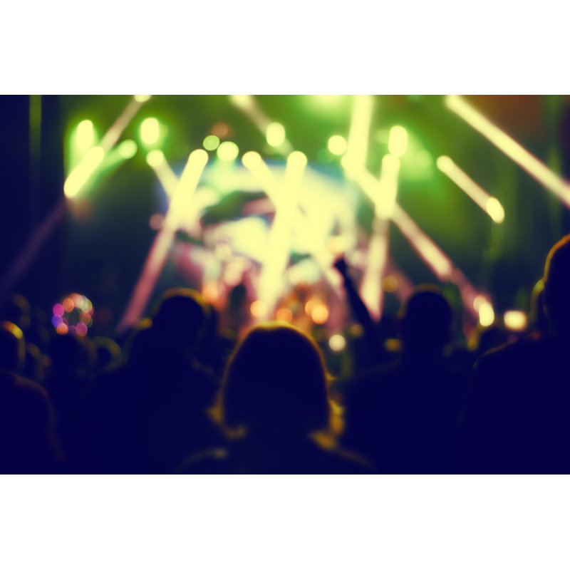 Concert Crowd - Wrapped Canvas Advertisements, 51cm H x 76cm W x 3.8 cm D