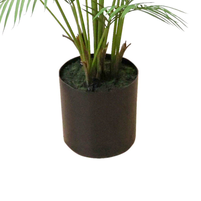 5' and 5.5' Outdoor UV Rated Kentia Palm Drop-In Trees, 68" H x 39" W x 39" D