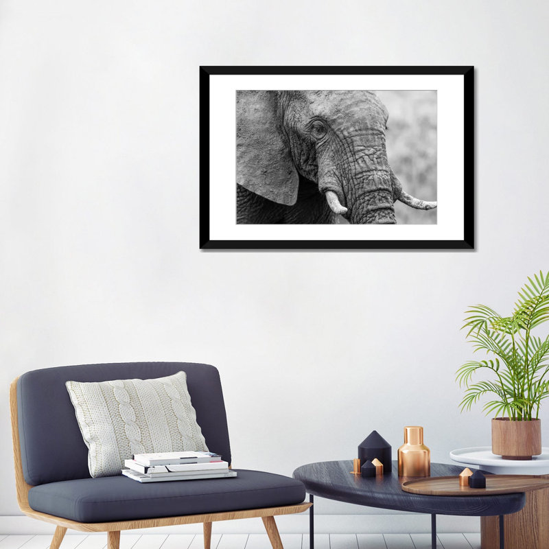 « couch éléphant », reproduction de photo sur toile, H 16 po x l 24 po x P 1 po, Papier d'art encadré noir, Blanc