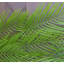 120cm Faux Plant