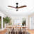 52 Inch Modern Ceiling Fan With Light 3 Solid Wood Blades Remote Control Reversible DC Motor With Dimmable LED