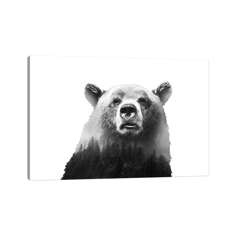 Big Bear III by Emanuela Carratoni - Wrapped Canvas Print, 152.5 cm H x 101.5 cm W