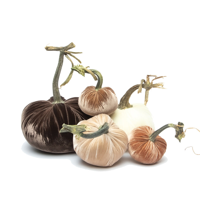 Silk Velvet Pumpkins-Large Neutral Set