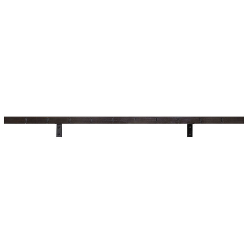 Rayne Plate Display Shelves With Hooks, Ebony, 66/3/2