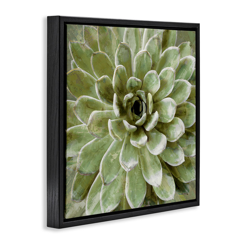 Vert succulent botanique vert, H 18 po x l 18 po, Cadre flottant noir de jais