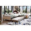 Upholstered Double Daybed with Trundle and Drawer