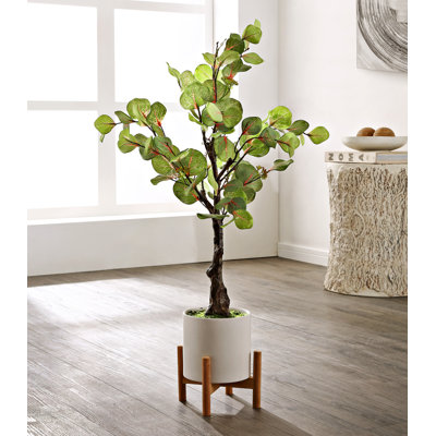 Cora 34.25 " H Faux Eucalyptus Tree in Plastic and Fiberstone Freestanding
