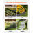 Steel Landscape Edging 4 Packs 40 x 6 in Rust-Resistant Garden Edging Border